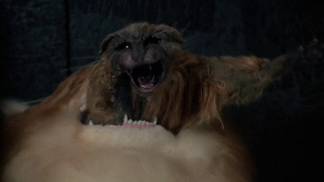 Uninvited (1988) abspielen