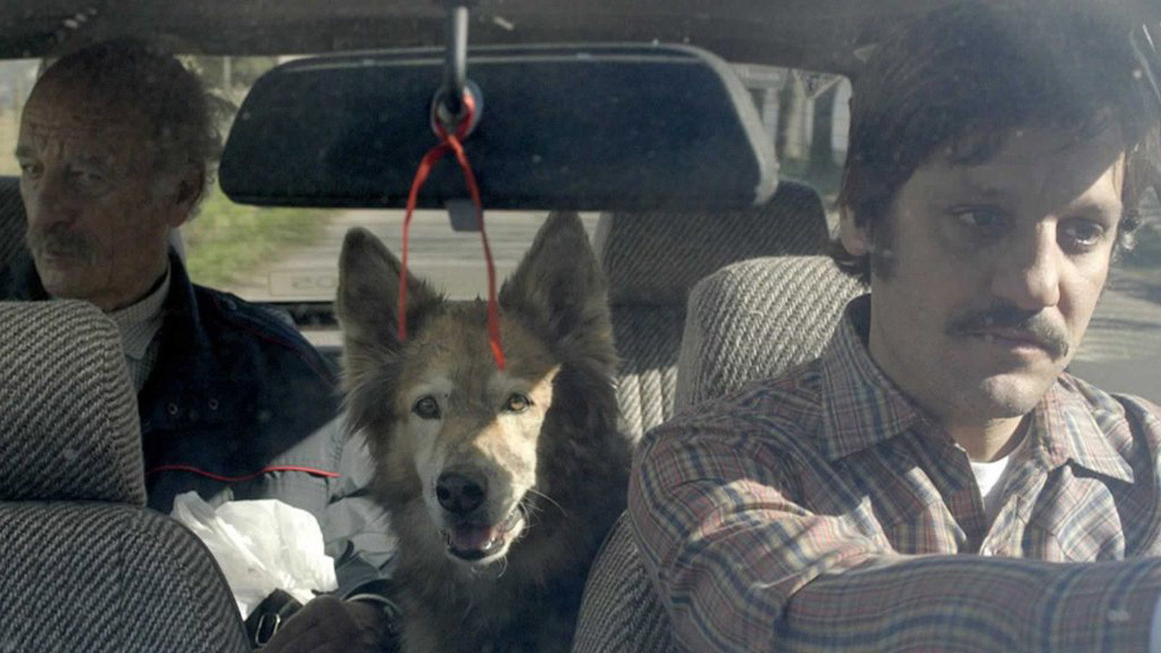 Camino a La Paz (2015) abspielen