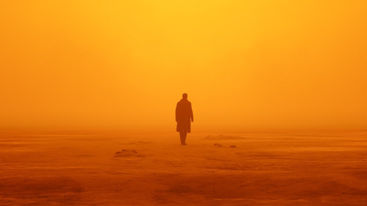 Blade Runner 2049 (2017) abspielen