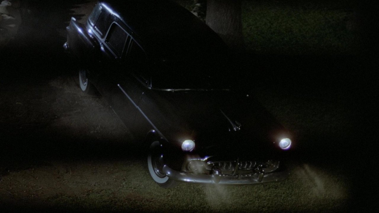 Der Leichenwagen (1980) abspielen