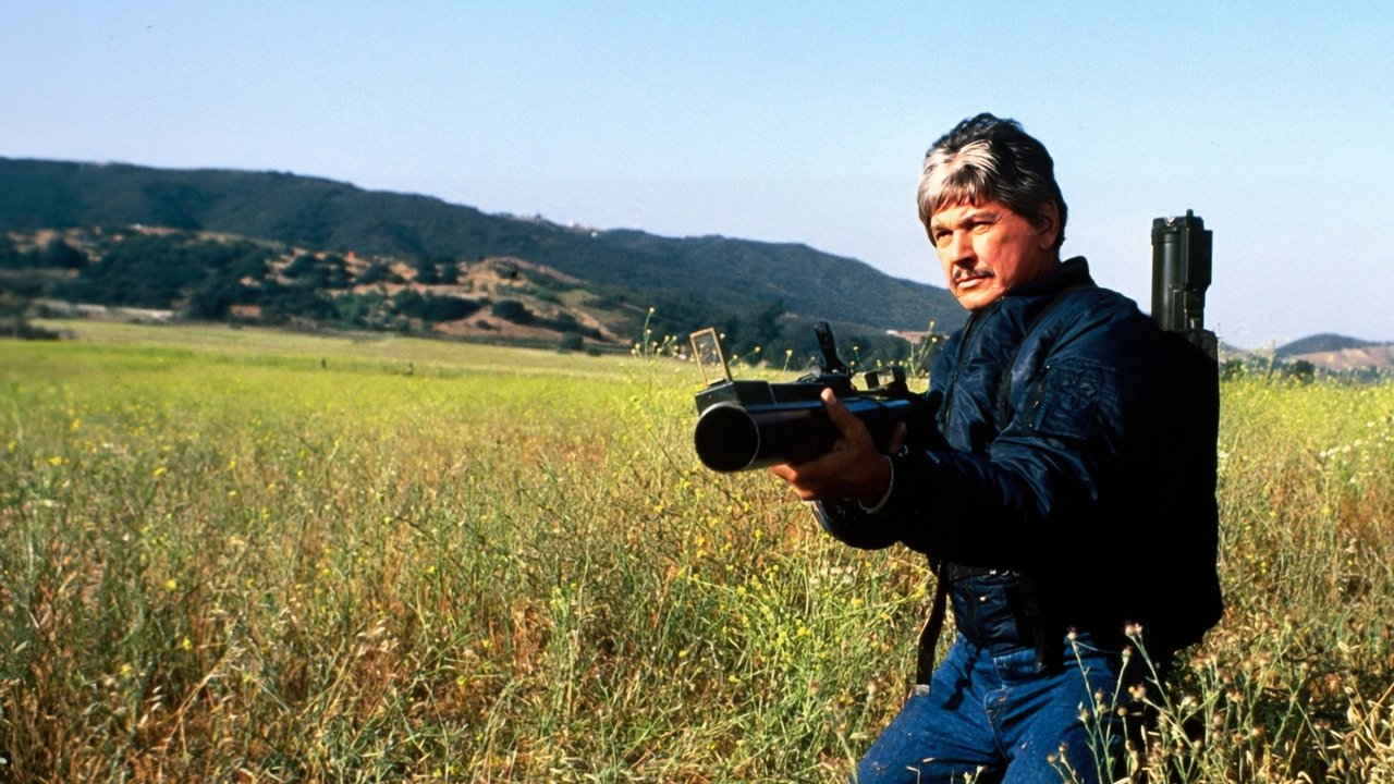 Der Mordanschlag (1987) abspielen