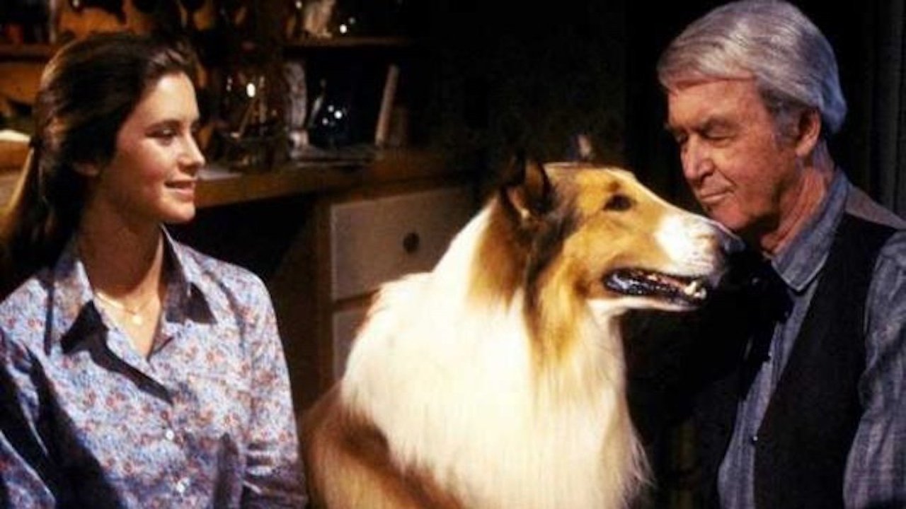 Unsere Lassie (1978) abspielen