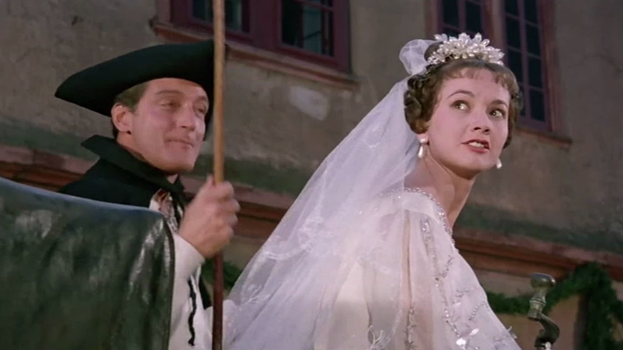 Das Wirtshaus im Spessart (1958) abspielen