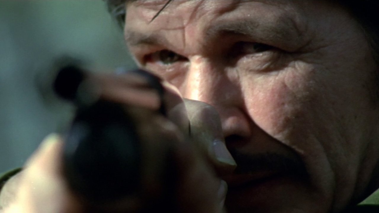 Brutale Stadt (1970) abspielen