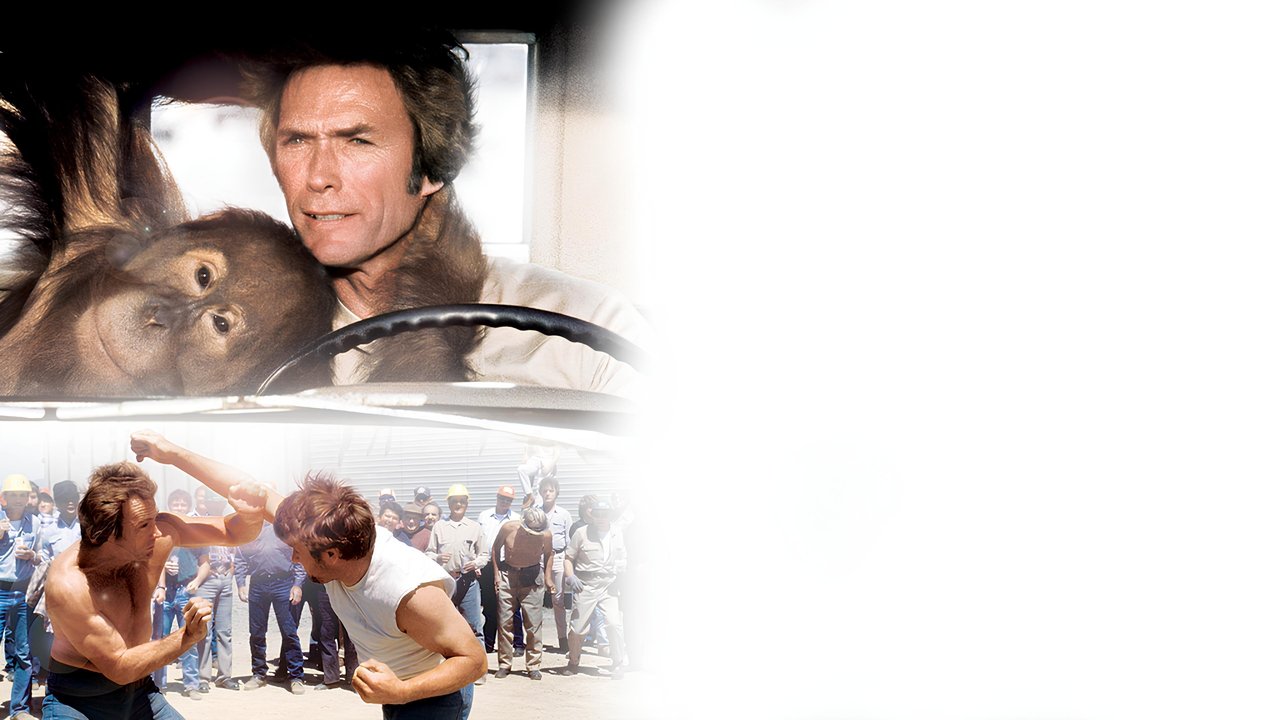 Der Mann aus San Fernando (1978) abspielen