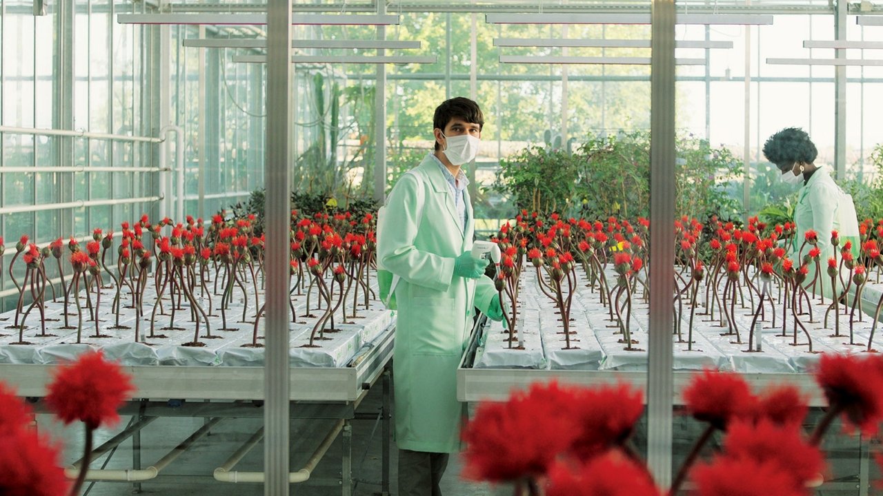 Little Joe - Glück ist ein Geschäft (2019) abspielen