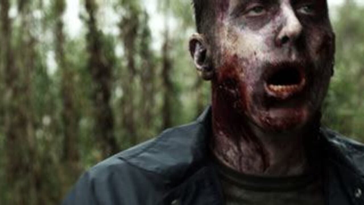 Zombies - An Undead Road Movie (2013) abspielen