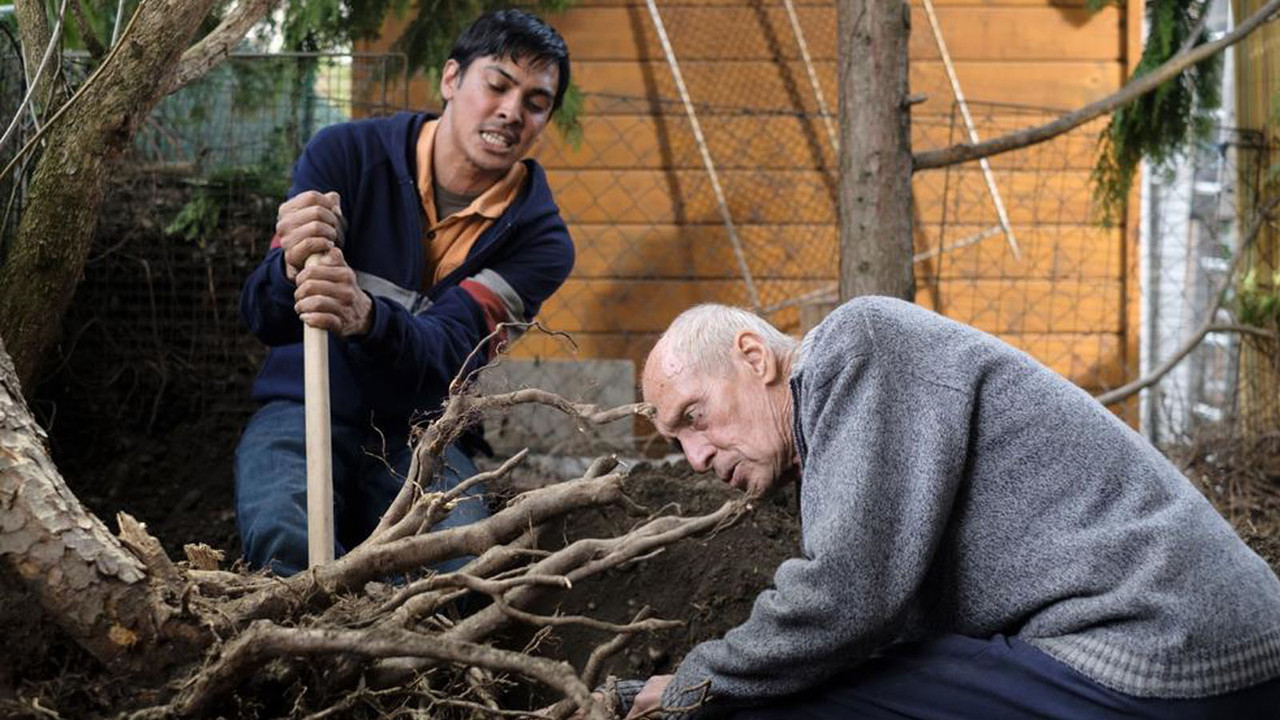 Nobadi (2019) abspielen