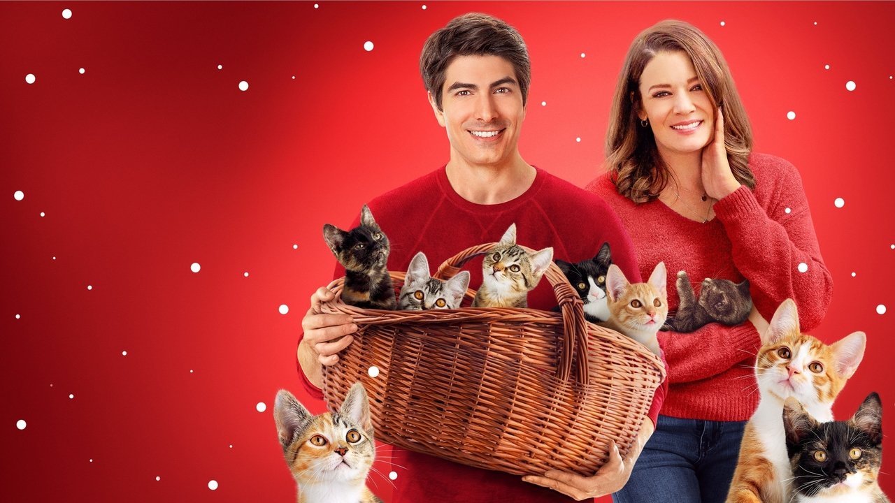 Neun Kätzchen zu Weihnachten - Eine samtige Bescherung 2 (2021) abspielen