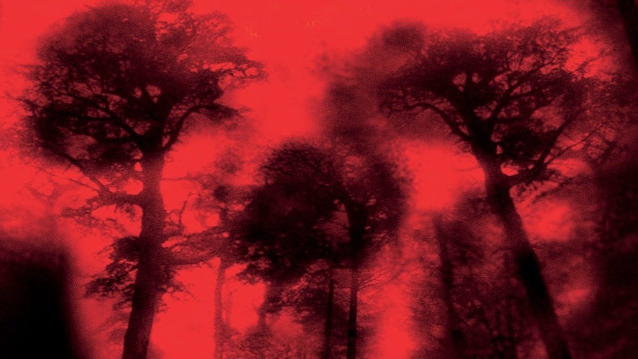 Cabin Fever (2003) abspielen