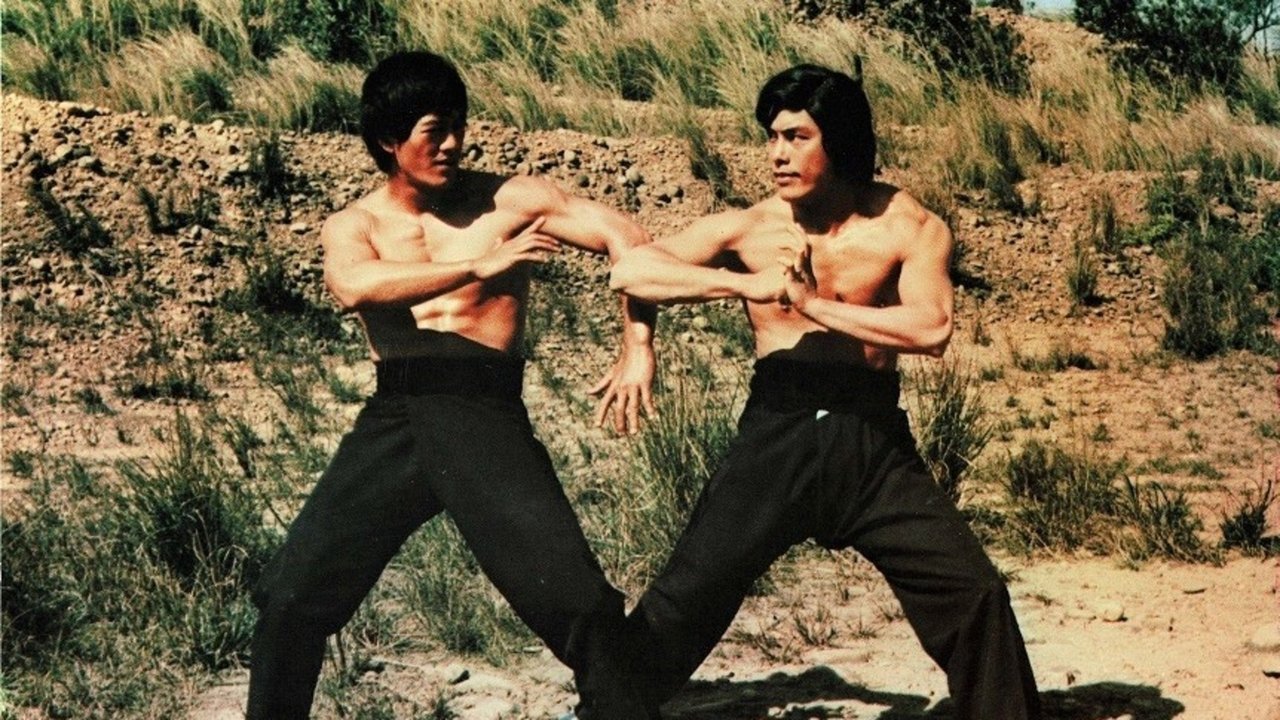 Bruce Lee - Das Geheimnis der Todeskralle (1976) abspielen