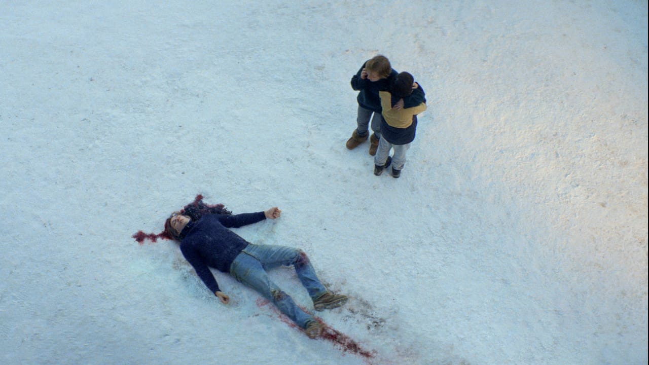 Anatomie eines Falls (2023) abspielen
