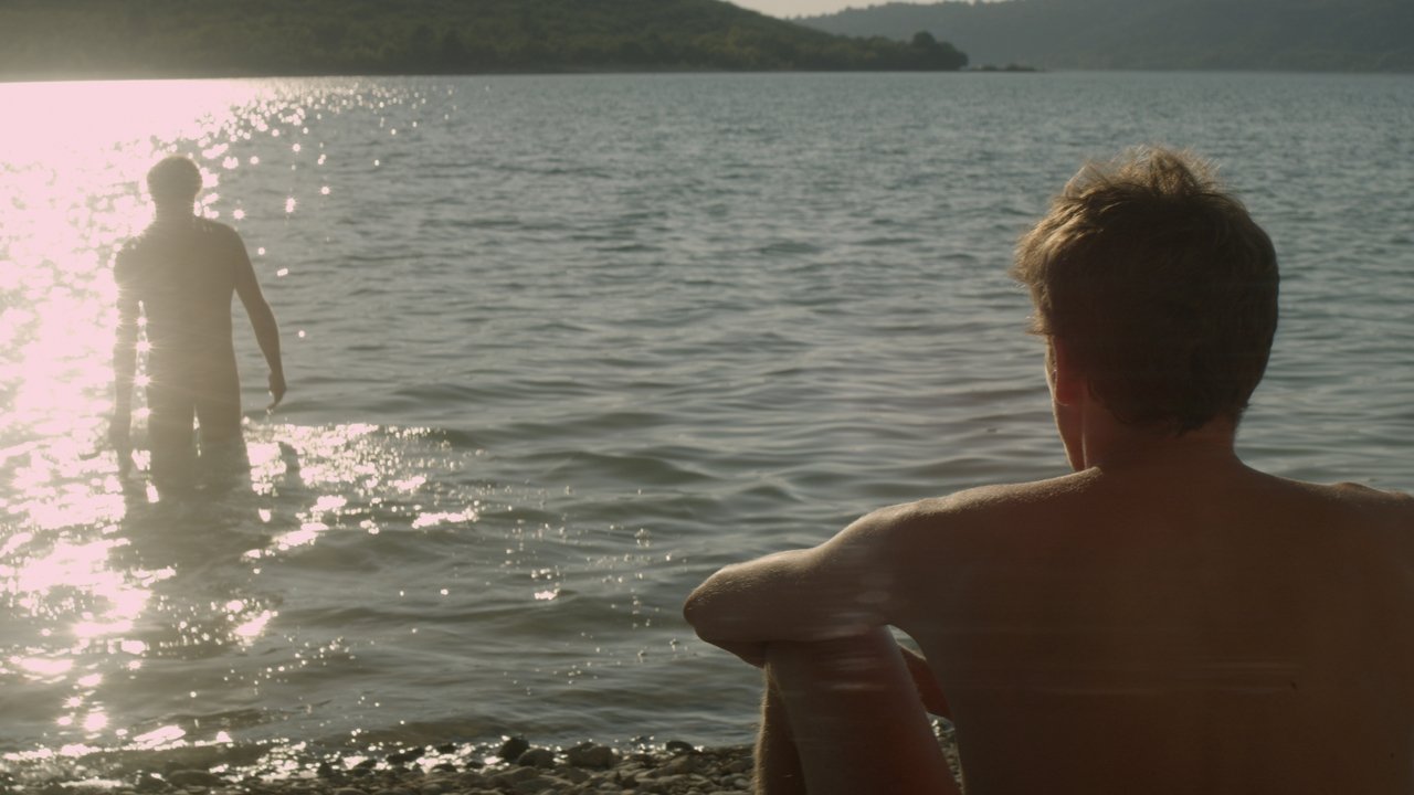 Der Fremde am See (2013) abspielen