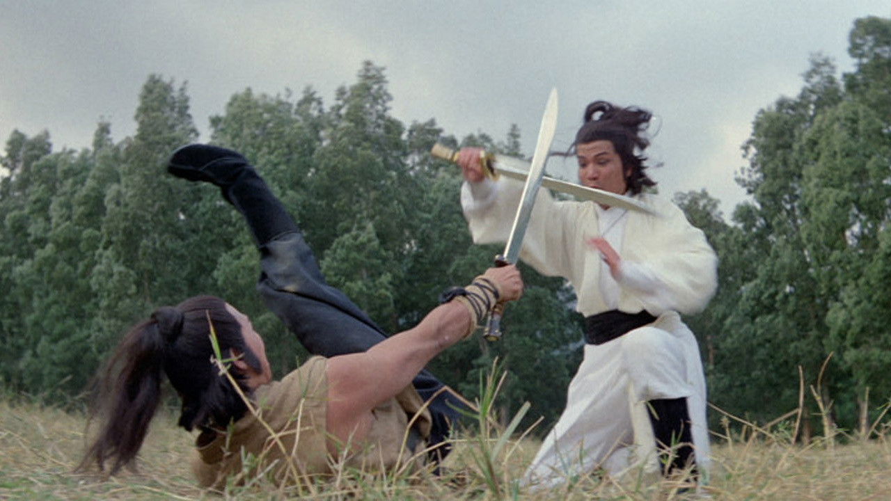 Der letzte Kampf des Shaolin (1979) abspielen
