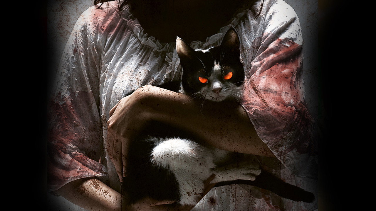 The Cat (2011) abspielen