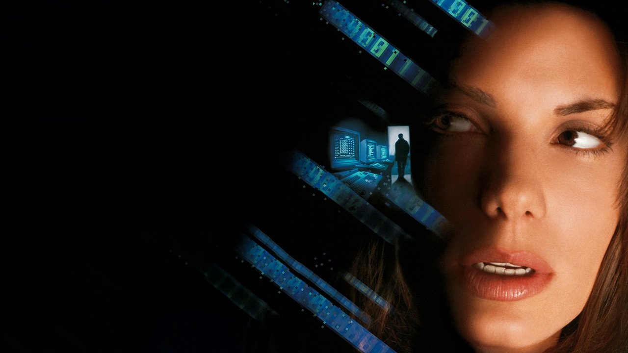 Das Netz (1995) abspielen