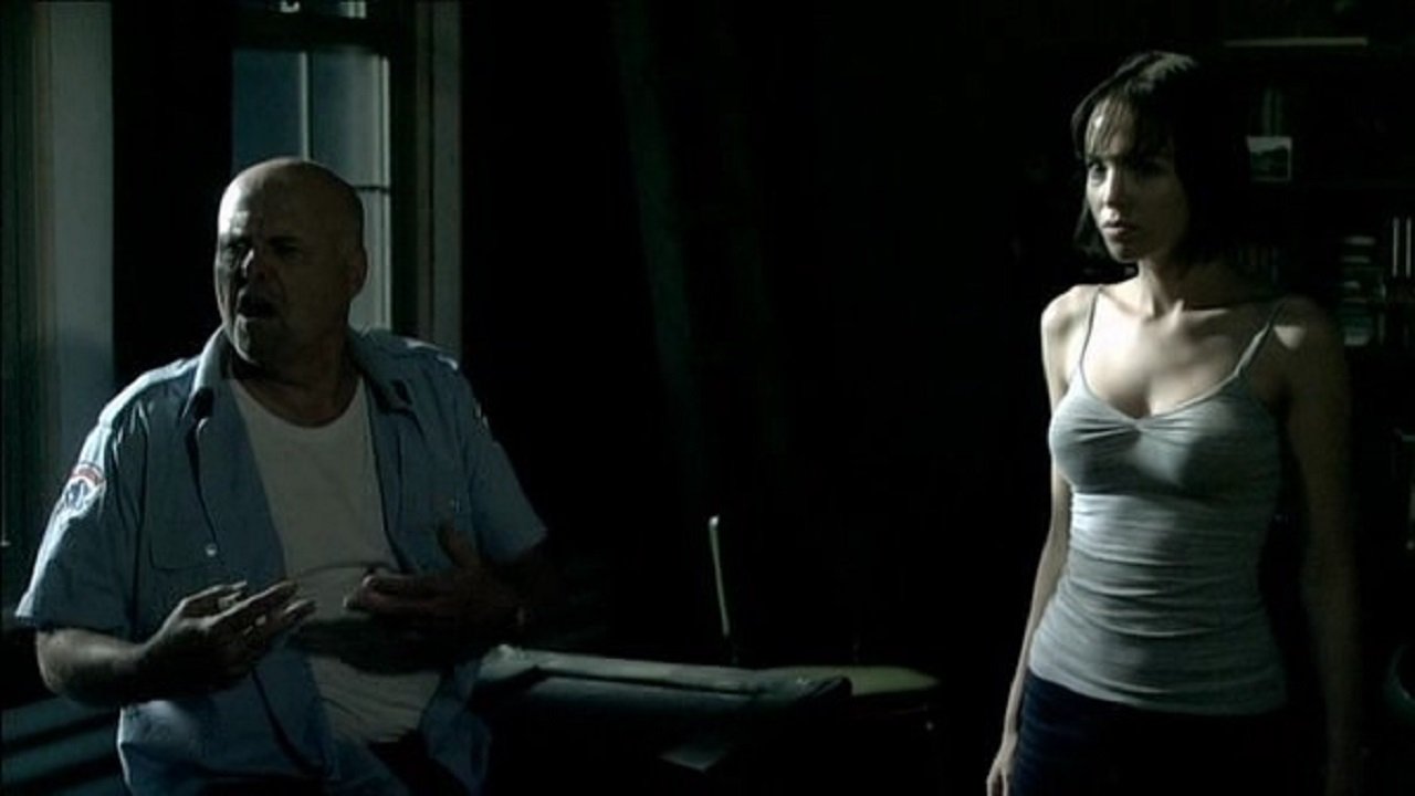 Bitten in the Twilight (2008) abspielen