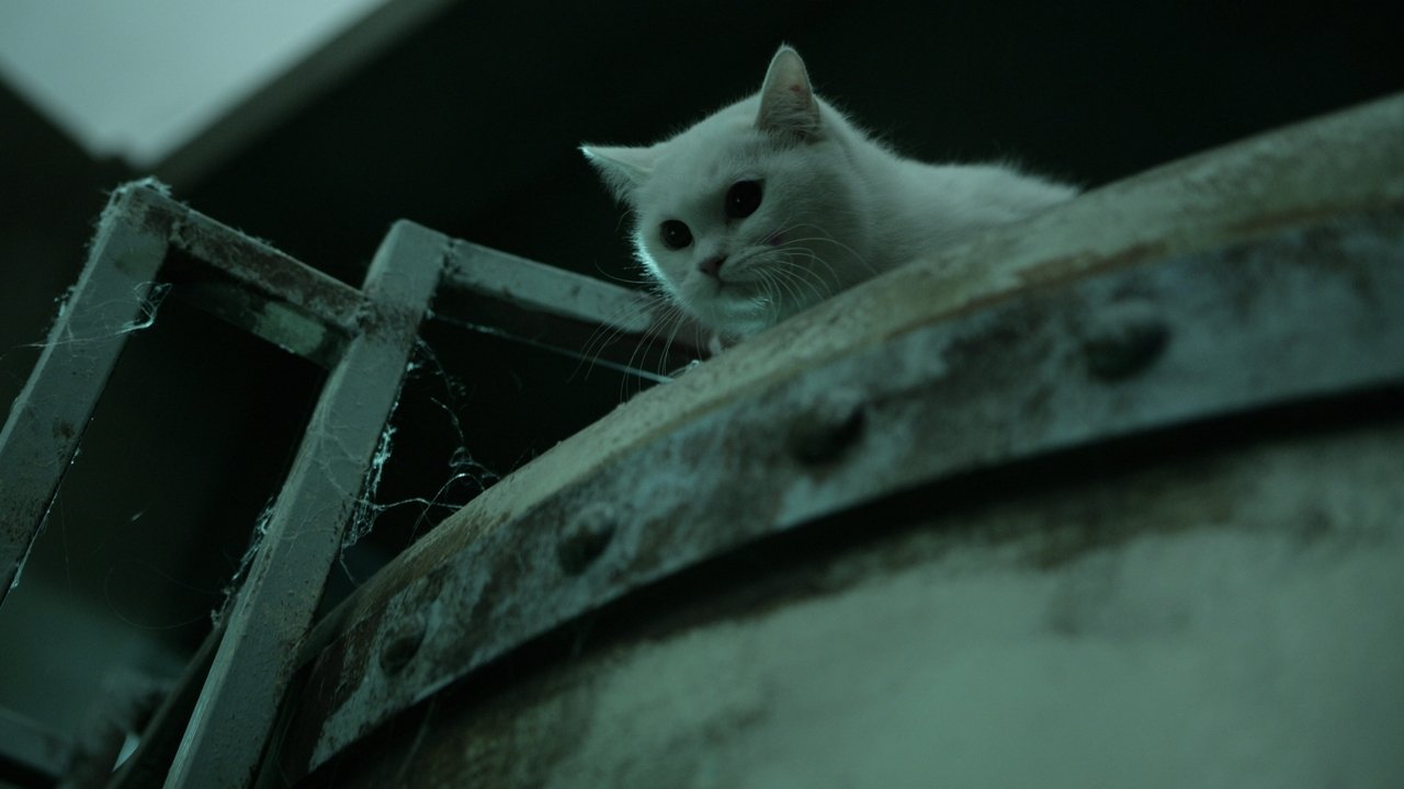 The Cat (2011) abspielen