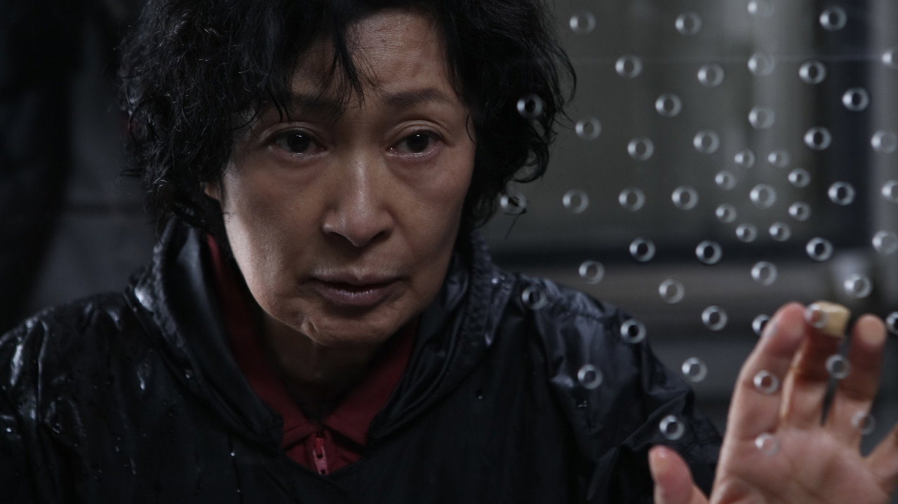 Mother (2009) abspielen