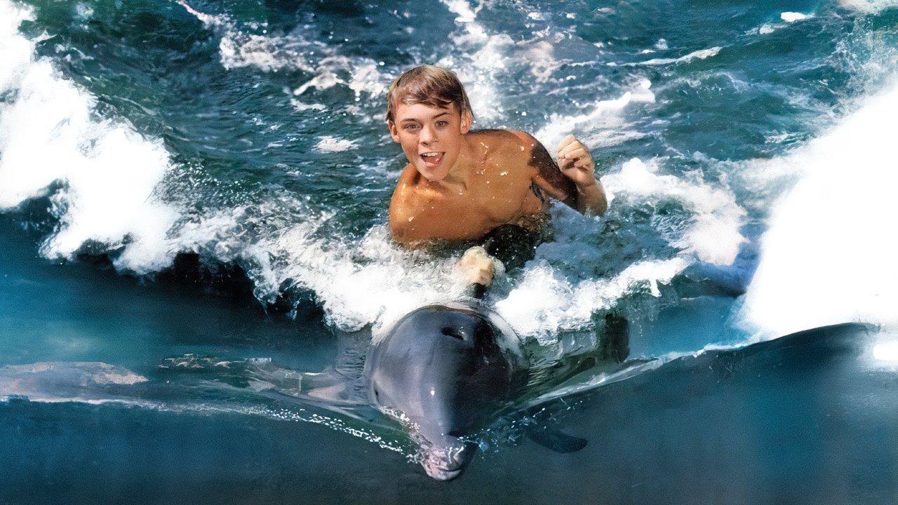 Flipper (1963) abspielen