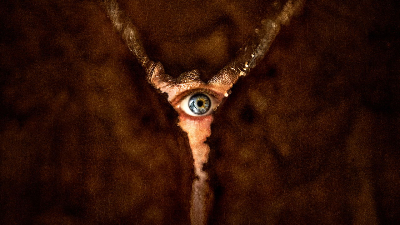 Return to Silent Hill (2026) abspielen