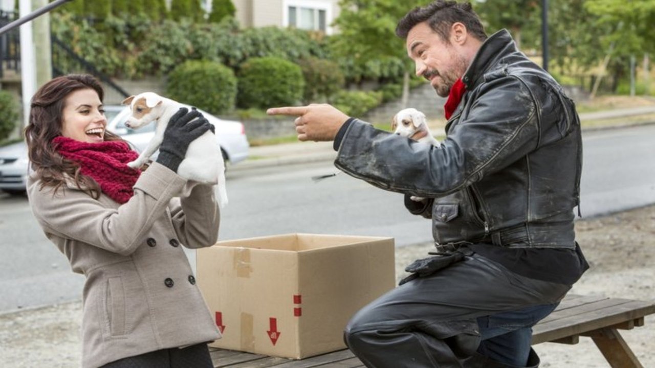 Weihnachten Undercover (2015) abspielen