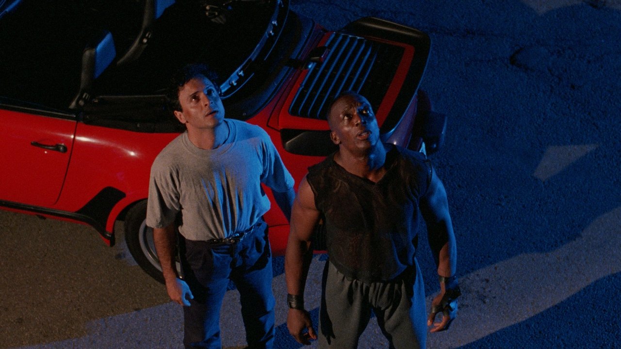 Expect No Mercy - Gnadenlos (1995) abspielen