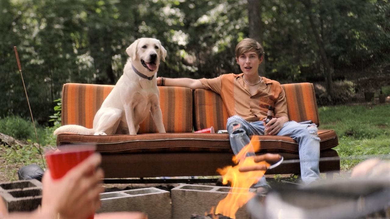 Dog Gone (2023) abspielen