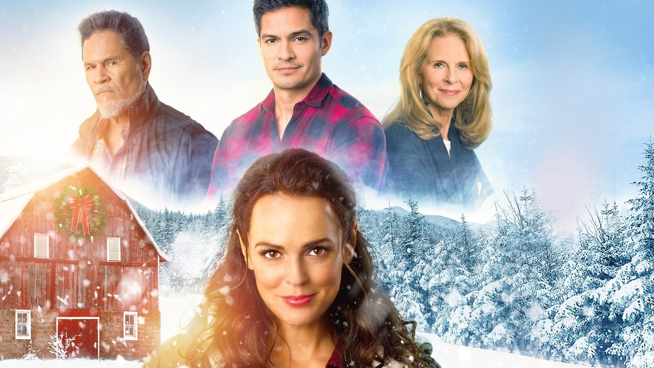 Ein Tierarzt zu Weihnachten (2019) abspielen