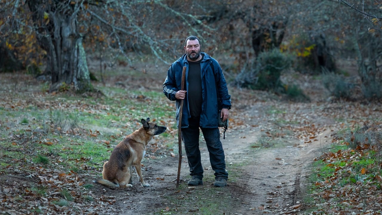 Wie wilde Tiere (2022) abspielen