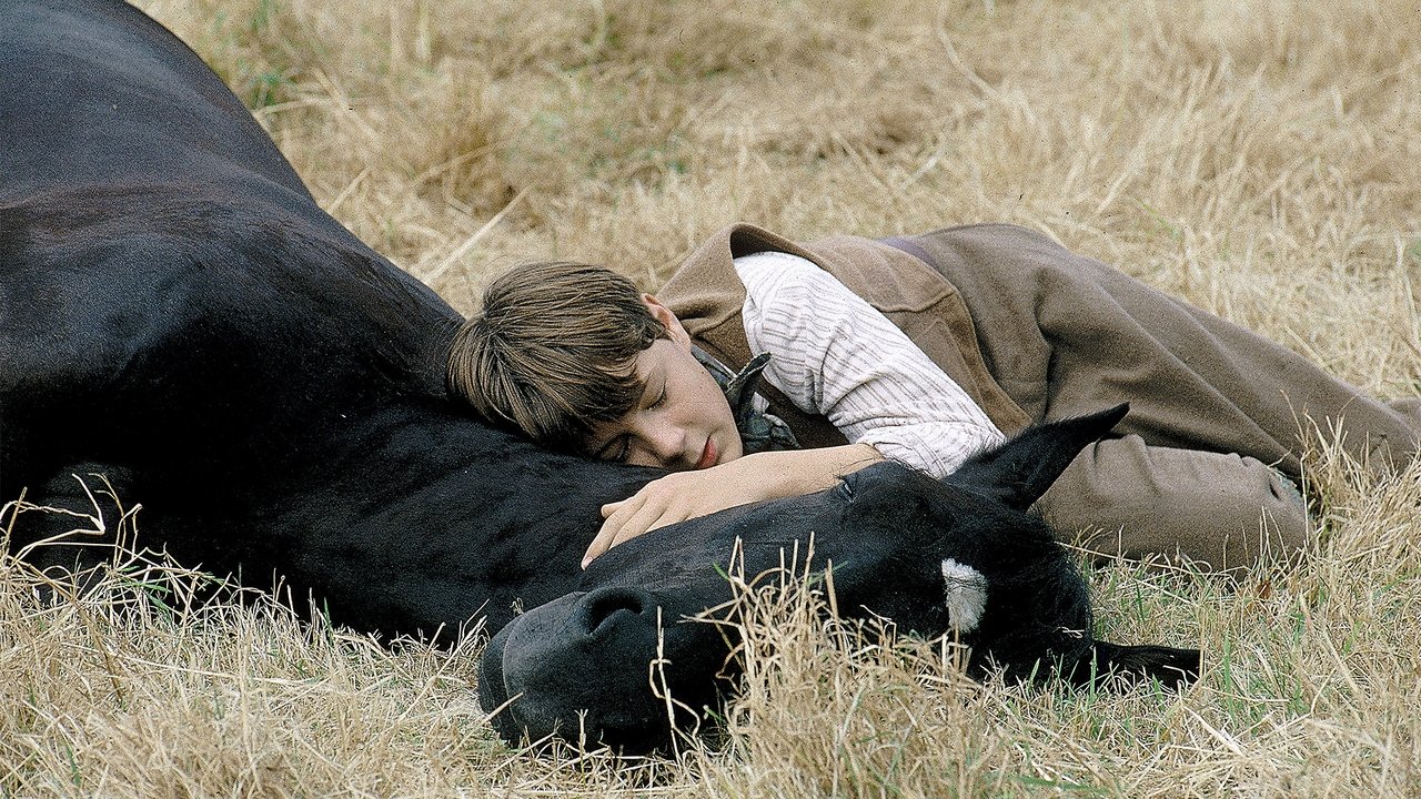 Black Beauty (1994) abspielen