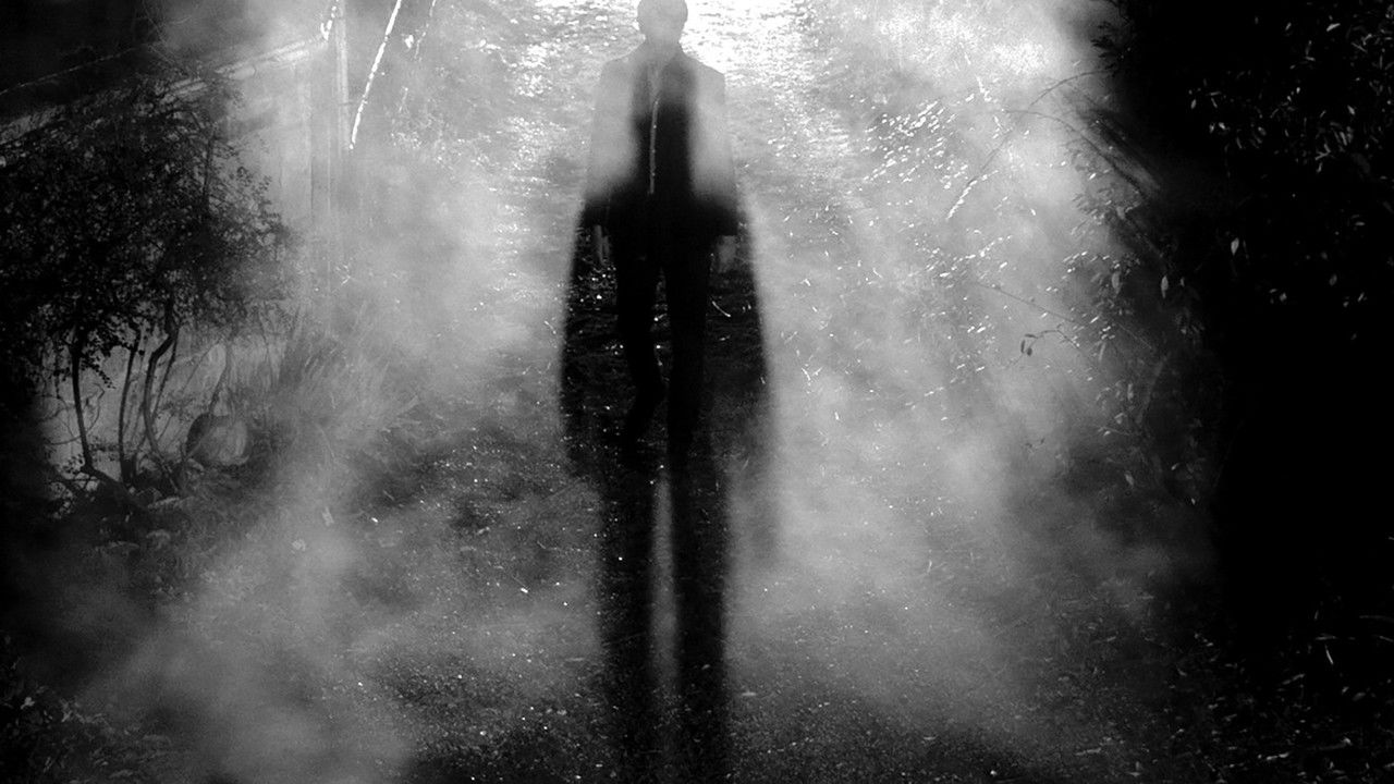 Das Mädchen mit den zwei Gesichtern (2018) abspielen