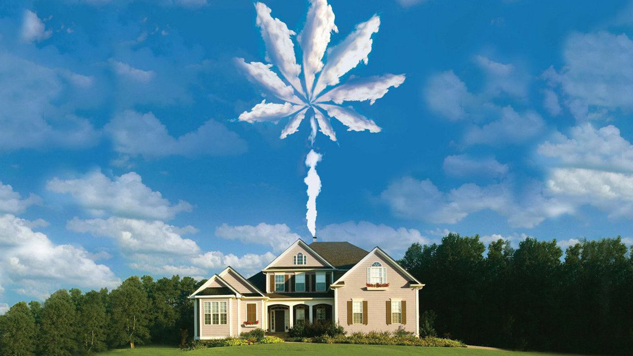 Operation Marijuana (2008) abspielen
