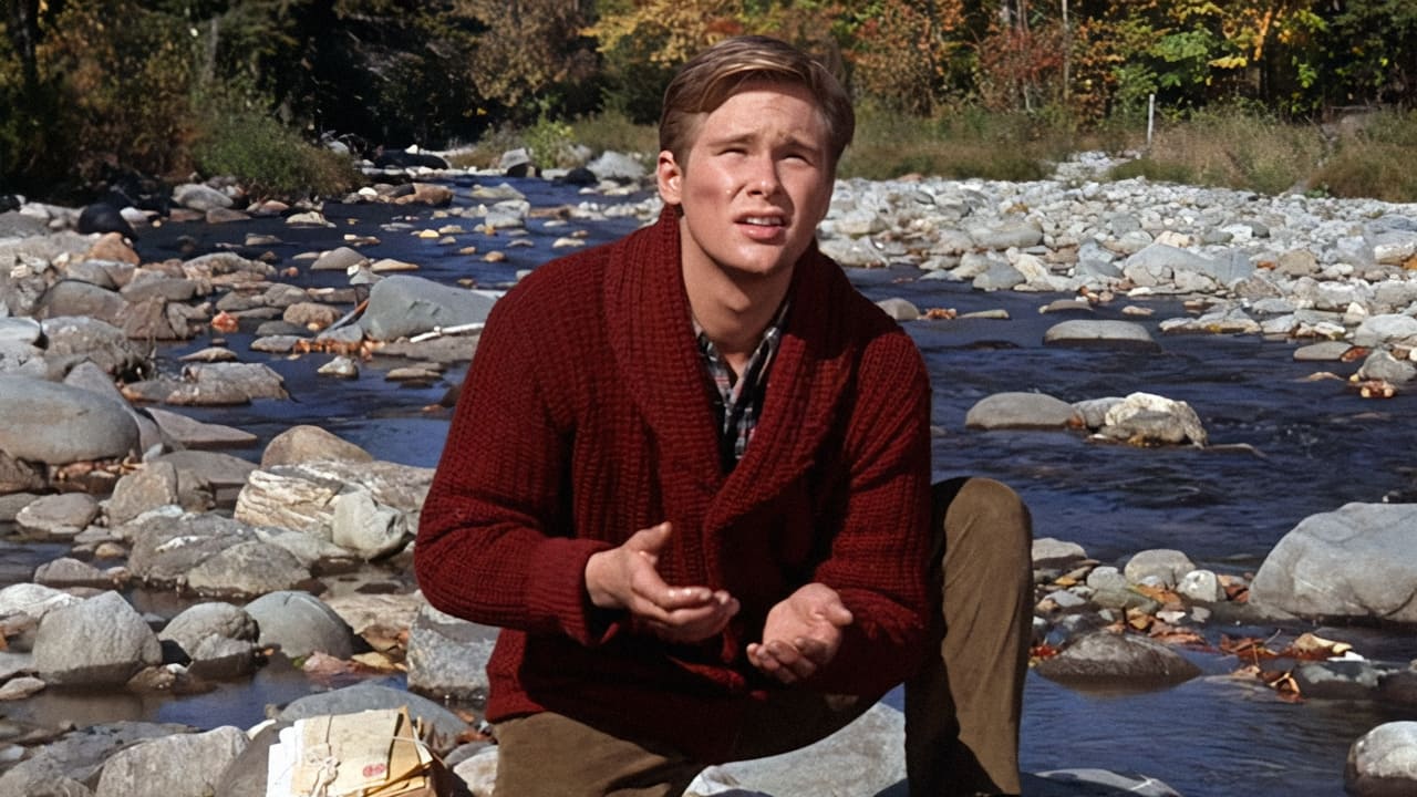 Diese Calloways (1965) abspielen