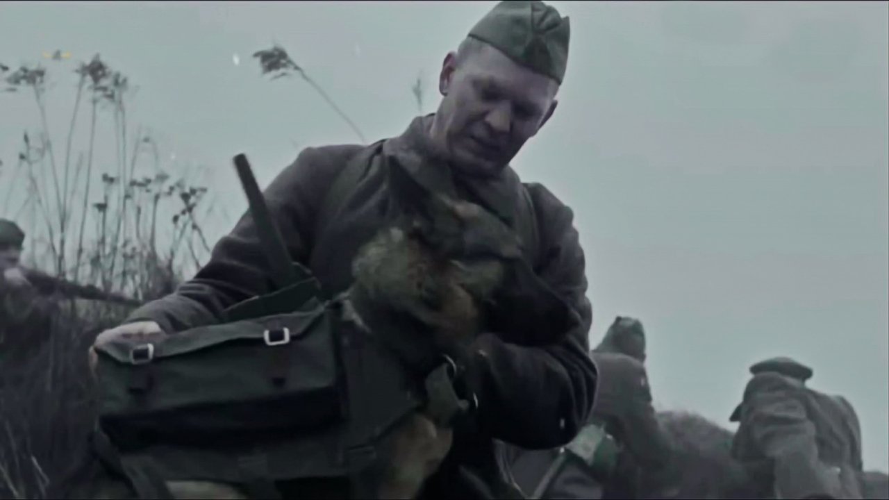 The War Dog (2016) abspielen