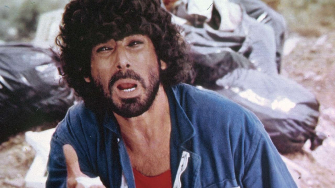 Das Schlitzohr und der Bulle (1976) abspielen
