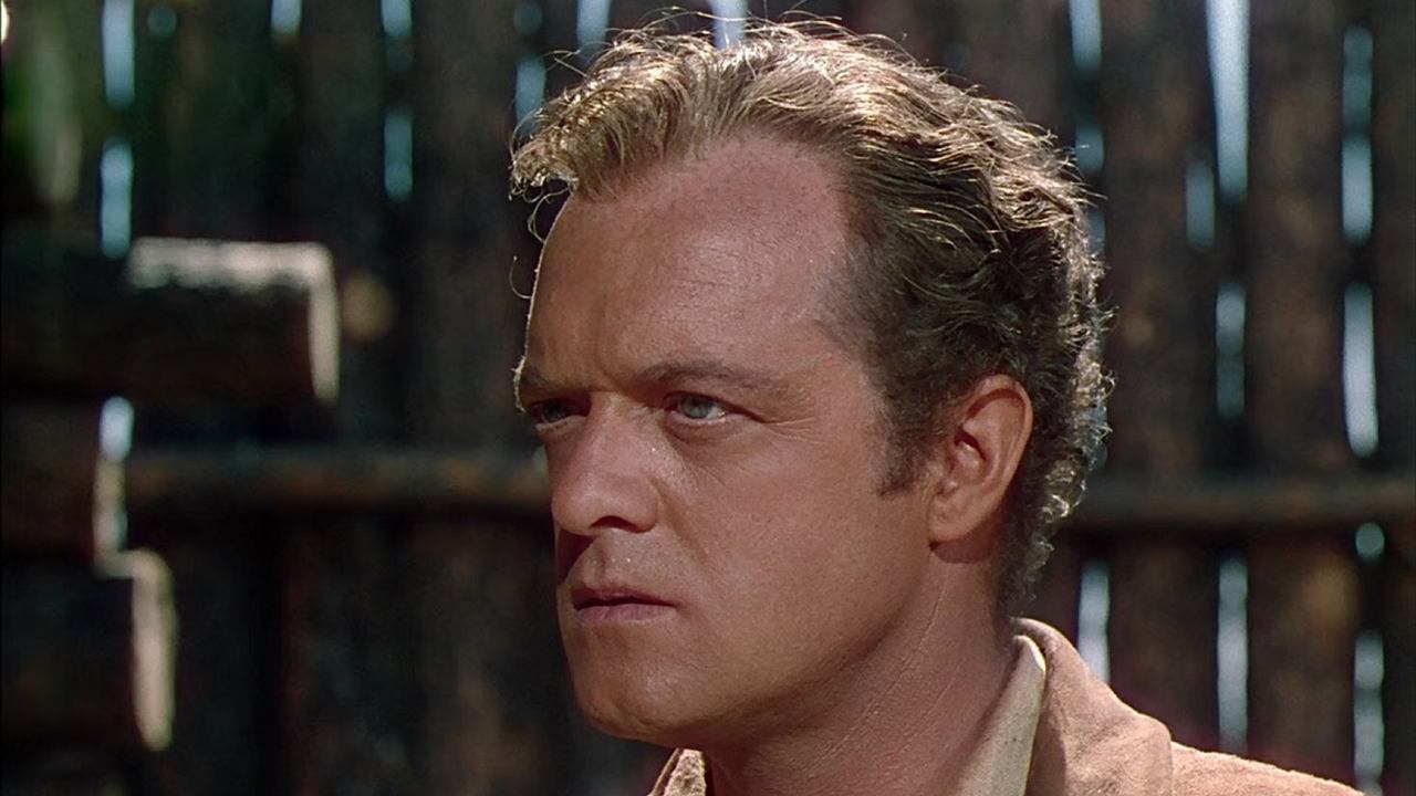 Tomahawk - Aufstand der Sioux (1951) abspielen