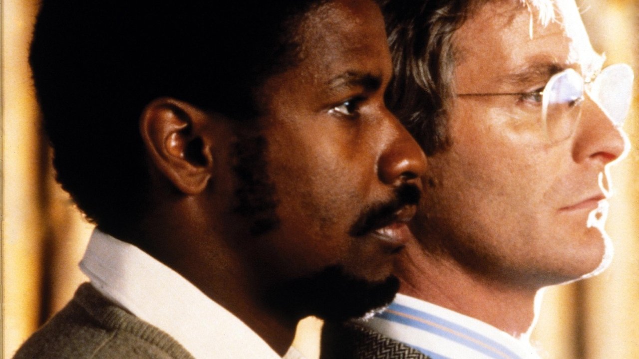 Schrei nach Freiheit (1987) abspielen