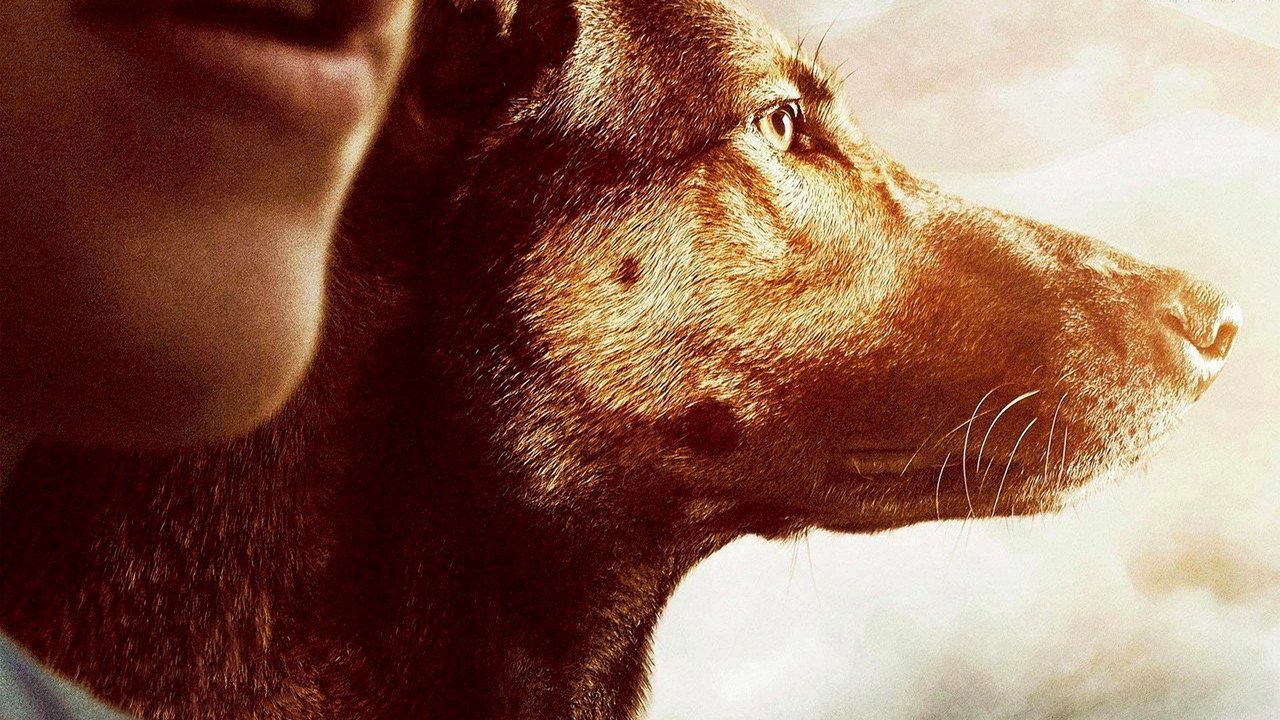 Max (2015) abspielen