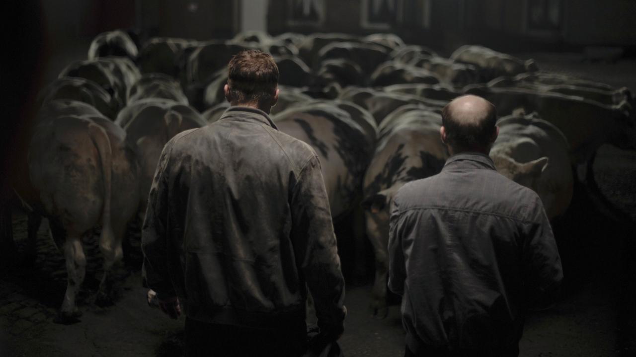 Bullhead (2011) abspielen