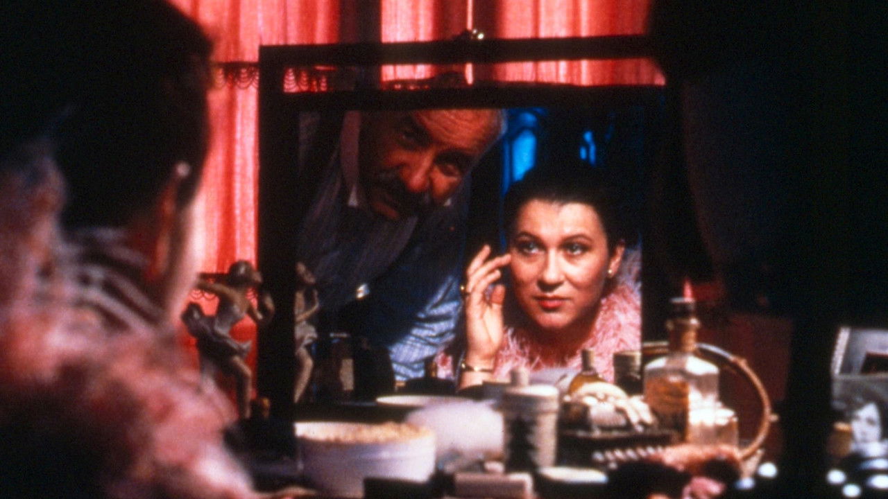 Der Kinoerzähler (1993) abspielen