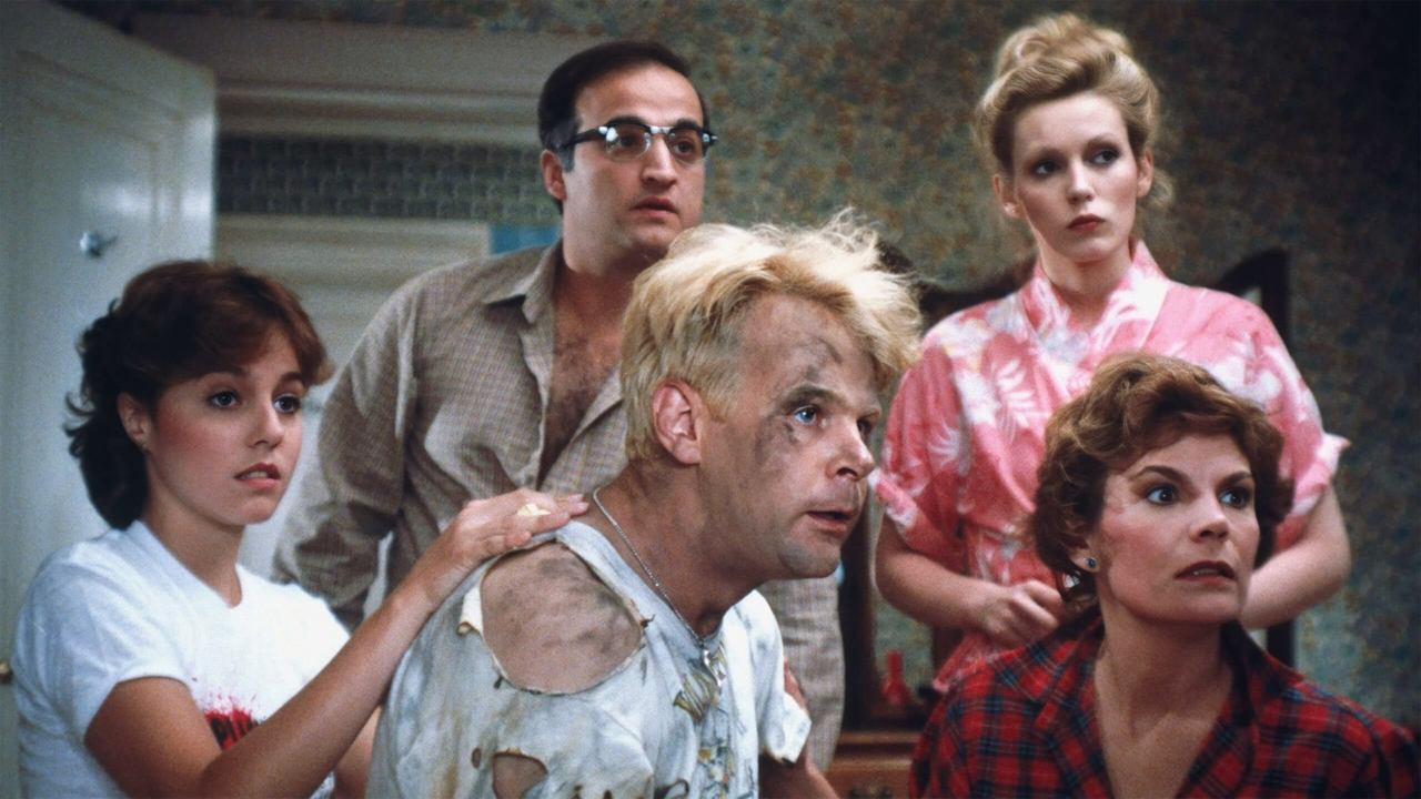 Die verrückten Nachbarn (1981) abspielen