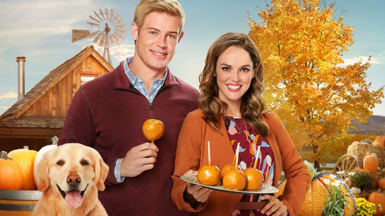 Love, Fall & Order - Im Zweifel für die Liebe (2019) abspielen