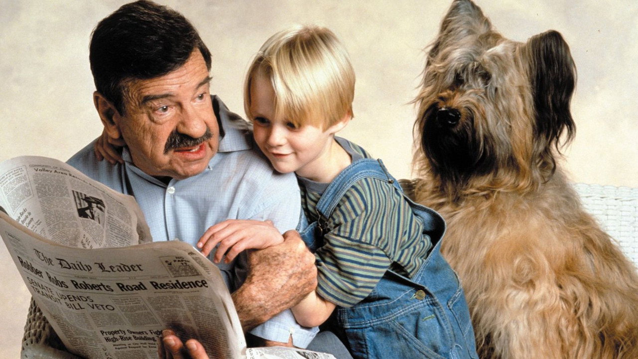 Dennis (1993) abspielen