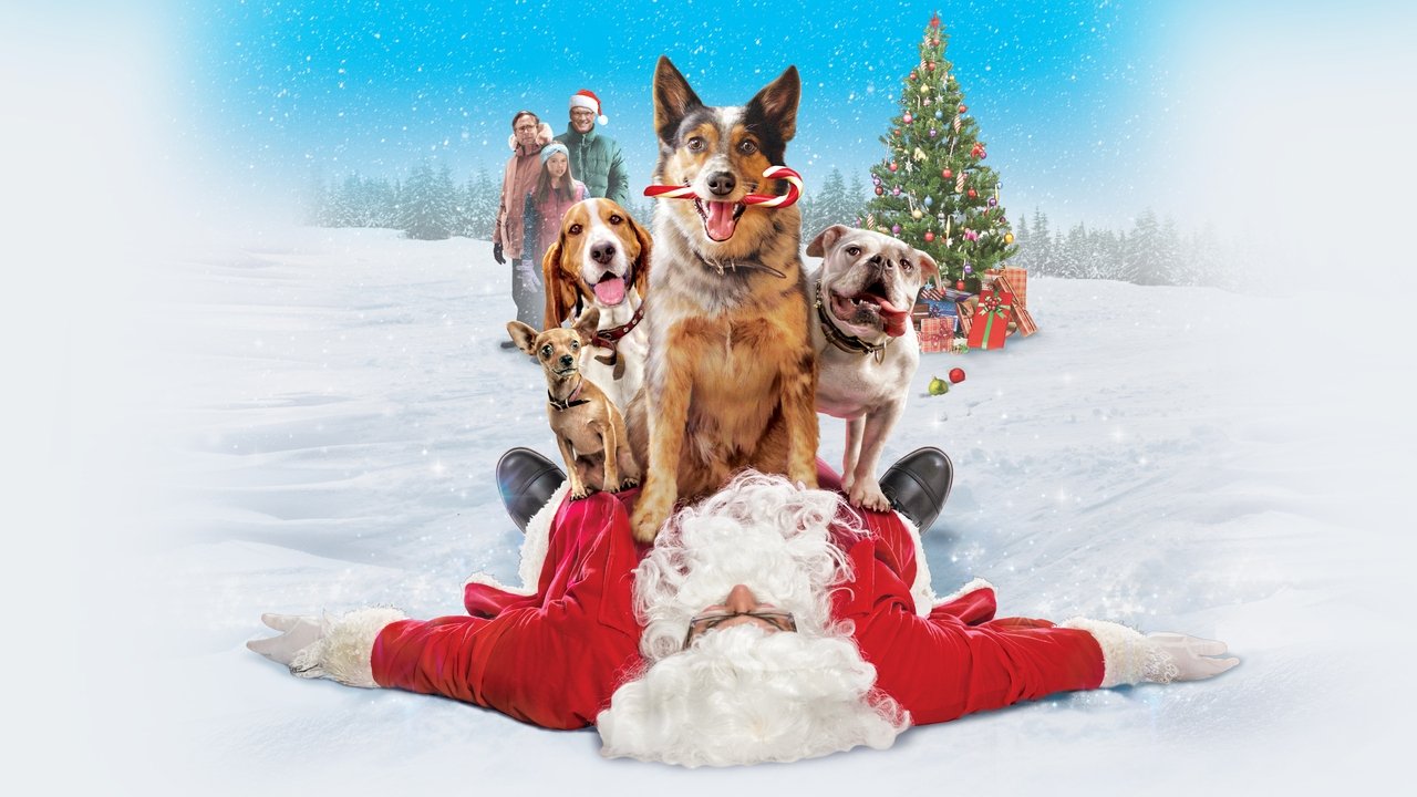 Hunde - Allein zu Haus (2021) abspielen