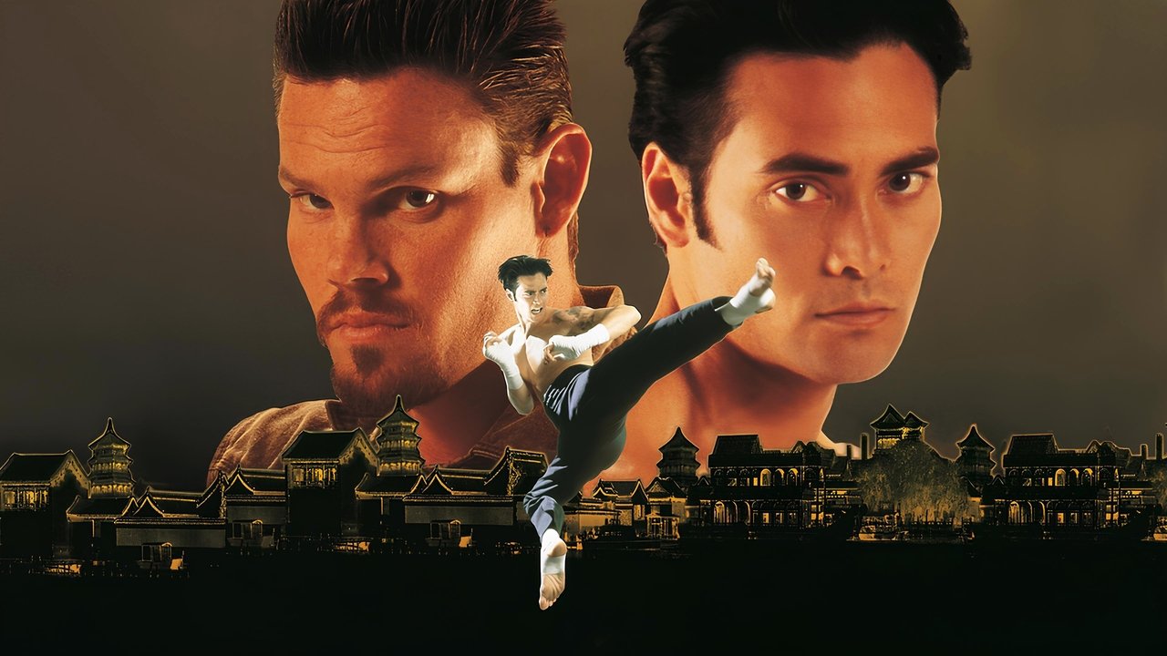 Kickboxer 5 (1995) abspielen