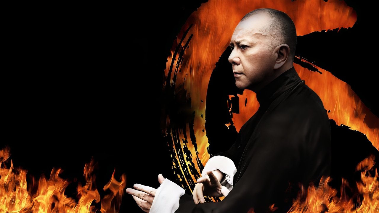 Ip Man - Final Fight (2013) abspielen