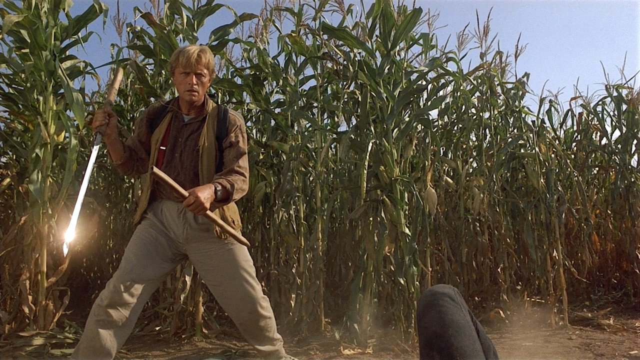 Blinde Wut (1989) abspielen