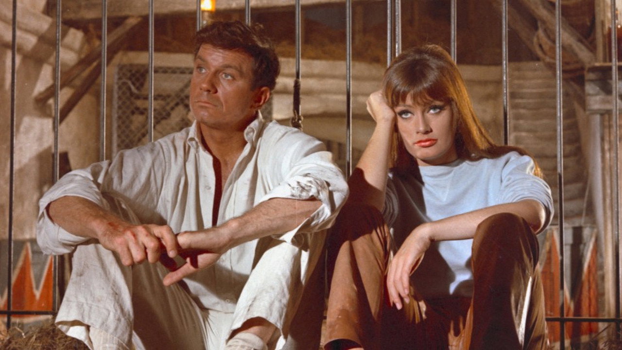 Agenten lassen bitten (1965) abspielen