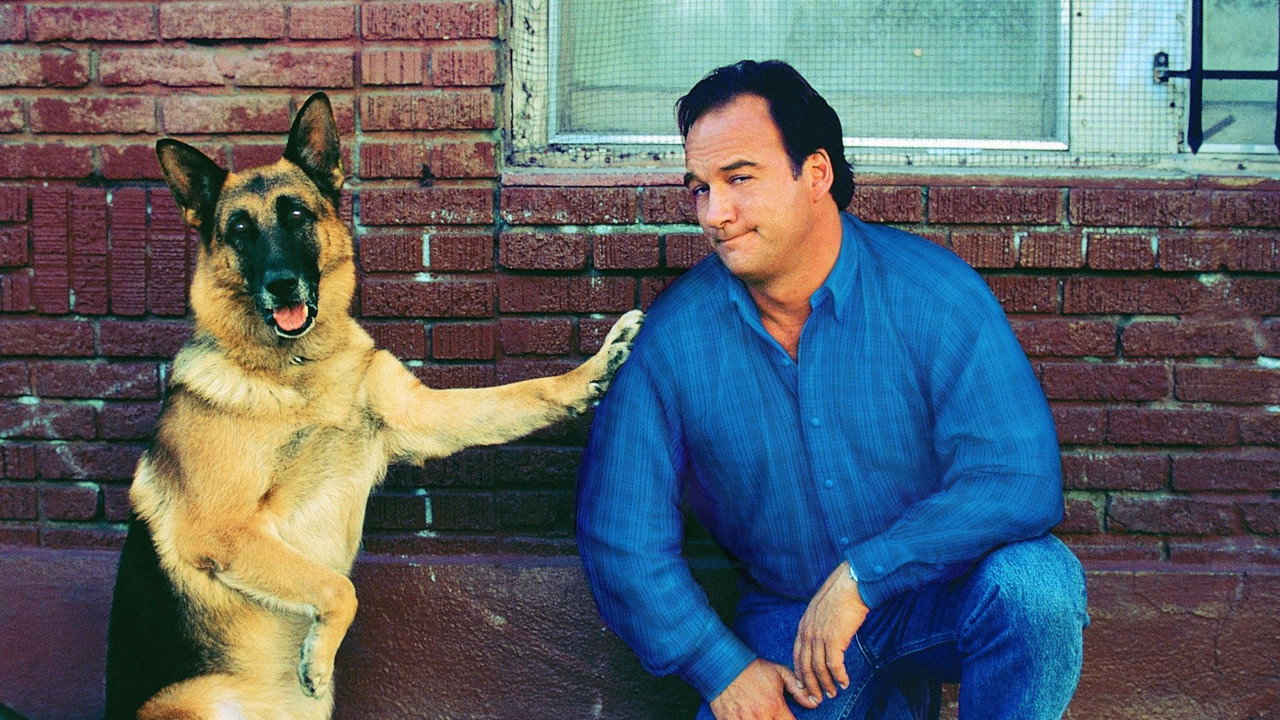 Mein Partner mit der kalten Schnauze 2 (2000) abspielen